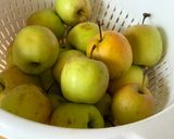 Une image de l'étape 1 de 🌱 Compote de pommes au romarin.