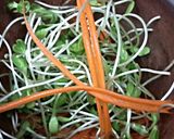 A picture of step 3 of Kanya's Sunflower Sprouts Salad.