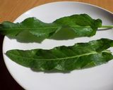 A picture of step 2 of Sorrel Jam.