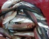 صورة لخطوة 1 من وصفة حوت مقلي ٢ 🐟🐟🐟🐟