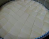 Foto langkah ke 6 dari resep Homemade Italian Mozzarella.