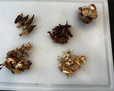A picture of step 1 of Dried mushroom Duxelles.