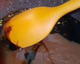 صورة لخطوة 3 من وصفة صوص الأرز الريزو المشهور 🍾🍾