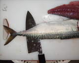 A picture of step 9 of How to fillet a fish (3-layer filleting) - For Mackerel.
