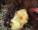 Foto del paso 2 de la receta: Dulce o Mermelada de Moras y Miel