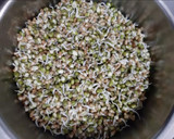 ફણગાવેલા મગમઠ નું શાક (Sprouted MagMathSabji Recipe In Gujarati) રેસીપી સ્ટેપ1ફોટો