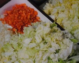 A picture of step 1 of Dry Curry (with Lots of Chinese Cabbage).