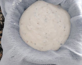 Foto del paso 1 de la receta: Queso crema casero (tipo Philadelphia)