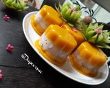 Foto langkah ke 3 dari resep Puding Labu Kelapa Muda.