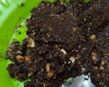 Foto langkah ke 3 dari resep Bola-Bola Biskuit Cokelat Meses.