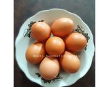 Foto langkah ke 1 dari resep Telor dadar wortel.