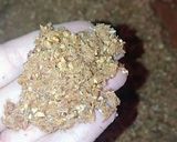 صورة لخطوة 1 من وصفة بجاوية الكوكاو🤤🍯🤍