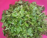 Foto langkah ke 1 dari resep 047. Sayur Kenci / Selada Air Masak Kuah.