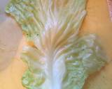 Stuffed Cabbage recipe step 10 photo