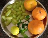 રિફ્રેશિંગ જ્યુસ (Refreshing Juice Recipe In Gujarati) રેસીપી સ્ટેપ1ફોટો