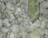 Foto del paso 2 de la receta: Magro de cerdo en salsa