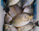 Foto langkah ke 1 dari resep Cobek ikan Baronang.
