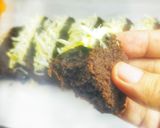 Foto langkah ke 10 dari resep Brownies Singkong.