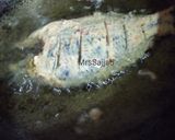 A picture of step 6 of Fry fish.