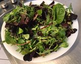 Une image de l'étape 1 de Salade de poulet aux tomates, courgette et jeunes pousses sauce ciboulette olive.