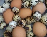 Foto langkah ke 2 dari resep Sate Telur Puyuh.