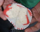 Foto langkah ke 7 dari resep Bolu KuKus Mini Lembut.