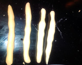 Foto del paso 7 de la receta: Mini churros y porras caseros en MC