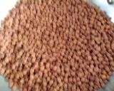 A picture of step 1 of Chana masala.