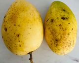 Hình bước làm 7 của món Vào bếp cùng con: poke - bữa cơm tươi cầu vồng