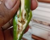 A picture of step 4 of Peri bites.