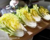 Foto langkah ke 1 dari resep KIMCHI (HomeMade).