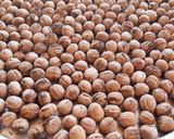 صورة لخطوة 4 من وصفة طريقة حفظ الجوز الاخضر واليابس مدة سنة كاملة 🥰