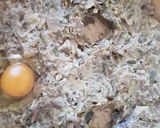 Foto del passaggio 1 della ricetta Torta pasqualina co' bischeri