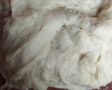 Foto del paso 5 de la receta: Ciabatta