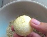 Foto langkah ke 9 dari resep Onde onde wijen.