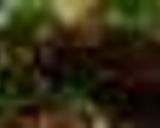 A picture of step 5 of Dahi Baingan.
