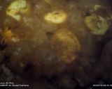A picture of step 5 of Ande ki sabzi.
