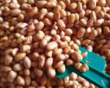 Foto langkah ke 1 dari resep Kacang bersaudara 🥰🤗.