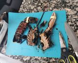 Foto del paso 2 de la receta: Arròs de llamàntol blau i gamba vermella