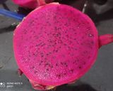 Foto langkah ke 5 dari resep Es krim buah naga lembut.