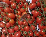 Une image de l'étape 4 de Pizza 🍕 farandole de saveurs 🌶️🥬🫜.