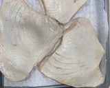 Foto del paso 2 de la receta Lomos de Atún Freidora de aire Acezoe