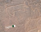 صورة لخطوة 2 من وصفة شاي صحراء الجزائر 🇩🇿 Tea of Algerian Sahara
