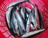 Foto del paso 2 de la receta Boquerones al horno con de salsa de picadillo de tomates