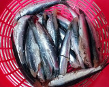 Foto del paso 2 de la receta: Boquerones al horno con de salsa de picadillo de tomates
