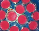 Foto langkah ke 4 dari resep Puding Silky Rainbow.