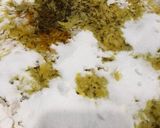 શેકેલા પાપડ પૌંઆ (Roasted Papad Poha Recipe In Gujarati) રેસીપી સ્ટેપ4ફોટો
