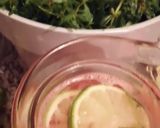 Une image de l'étape 8 de Jus pastèque citron vert a la djamicoo.