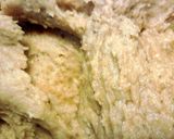 A picture of step 5 of Sweet Potato Casserole Cookies.