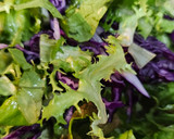 Foto del paso 3 de la receta: Ensalada con col lombarda